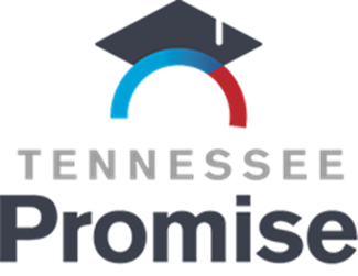 tn promise 1.png