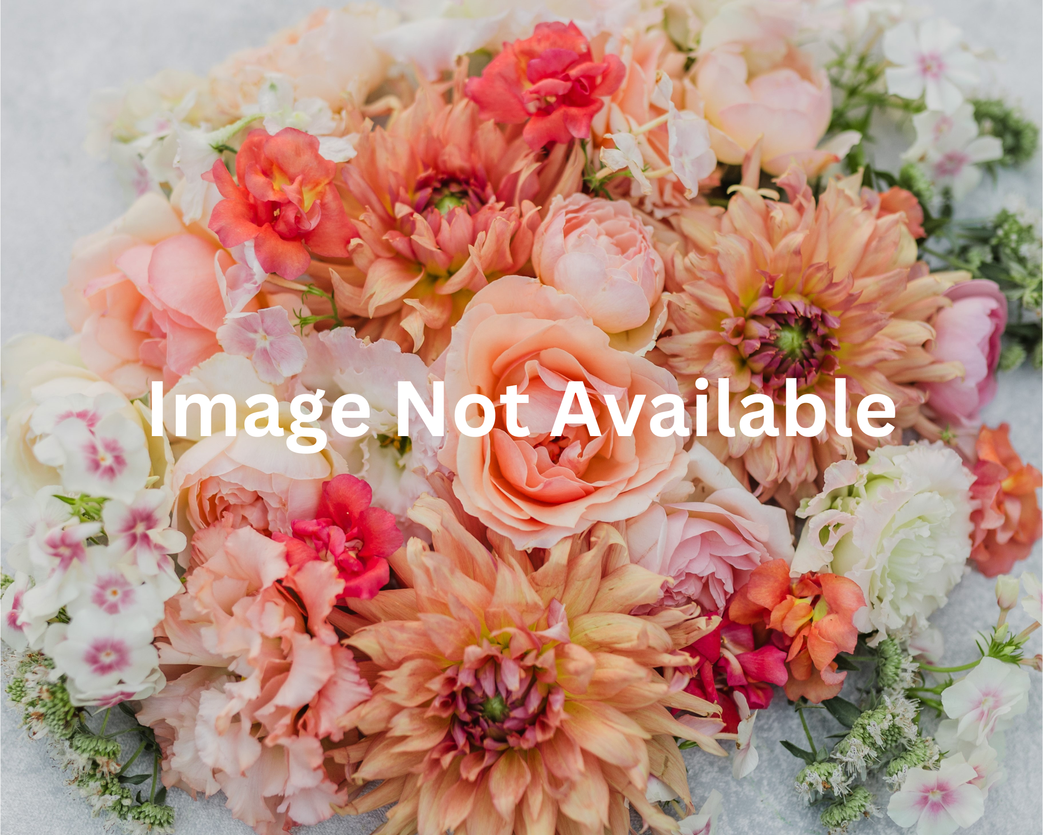 Image Not Available.png