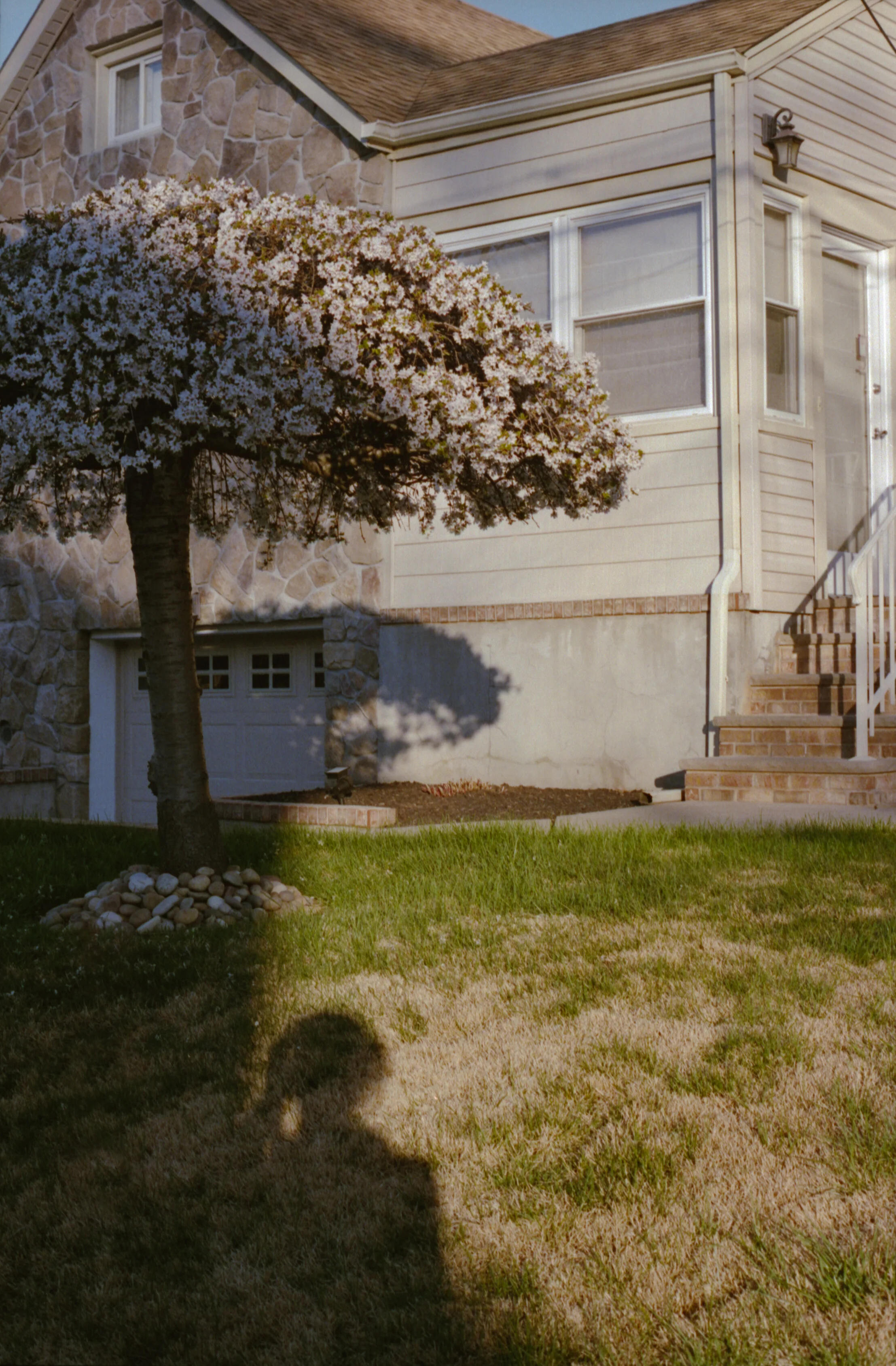 img274.jpg