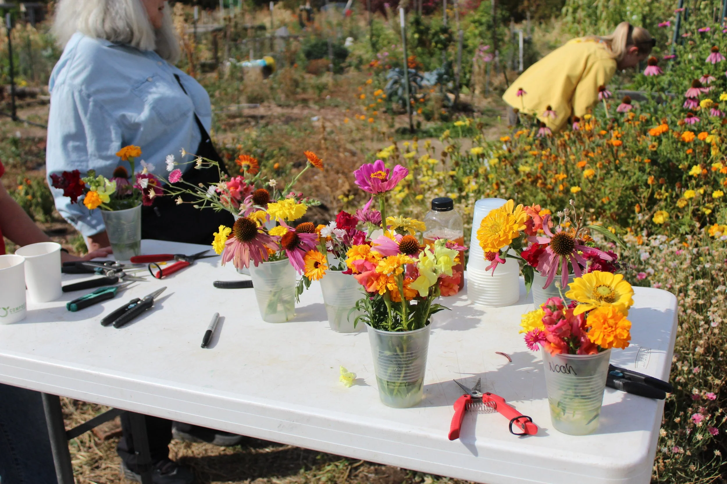 Bagel Brunch + Community Building  + Flower Harvest