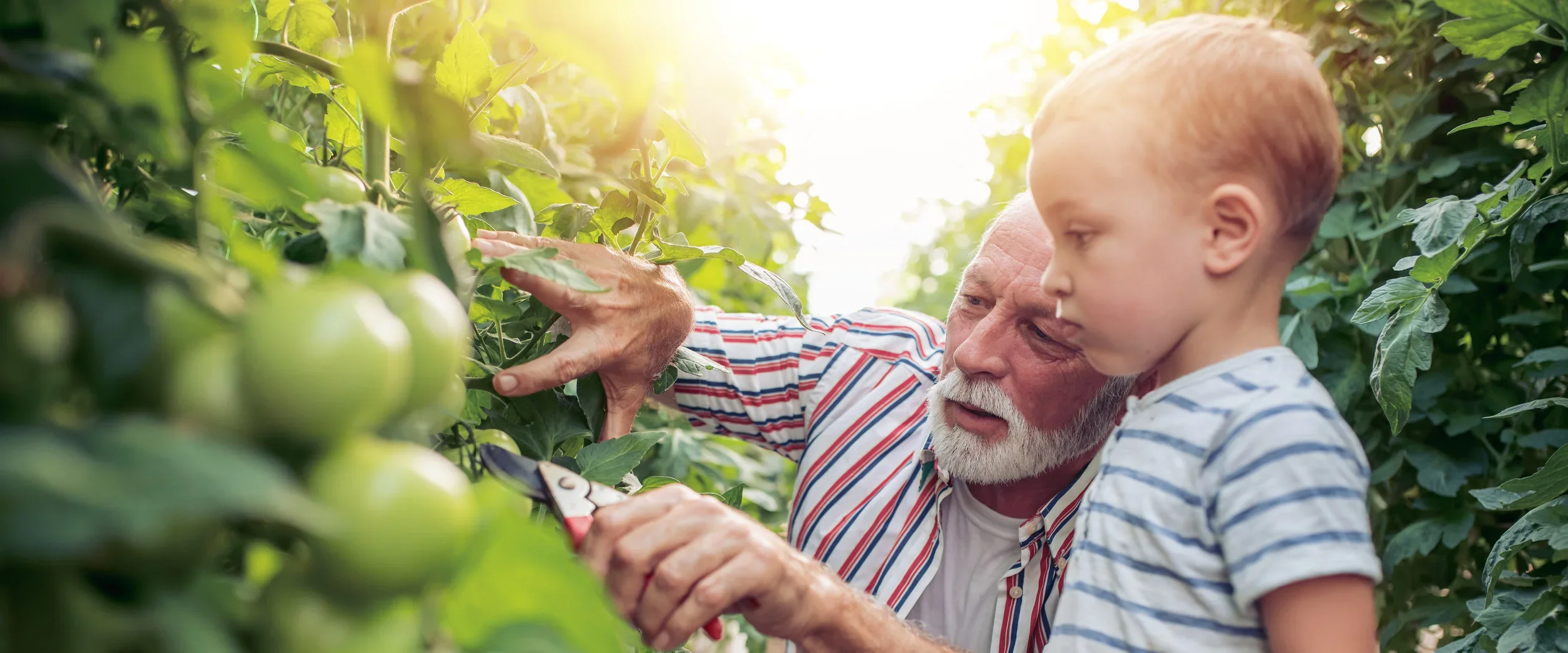 Father's Day Bagel Brunch + Volunteer Day