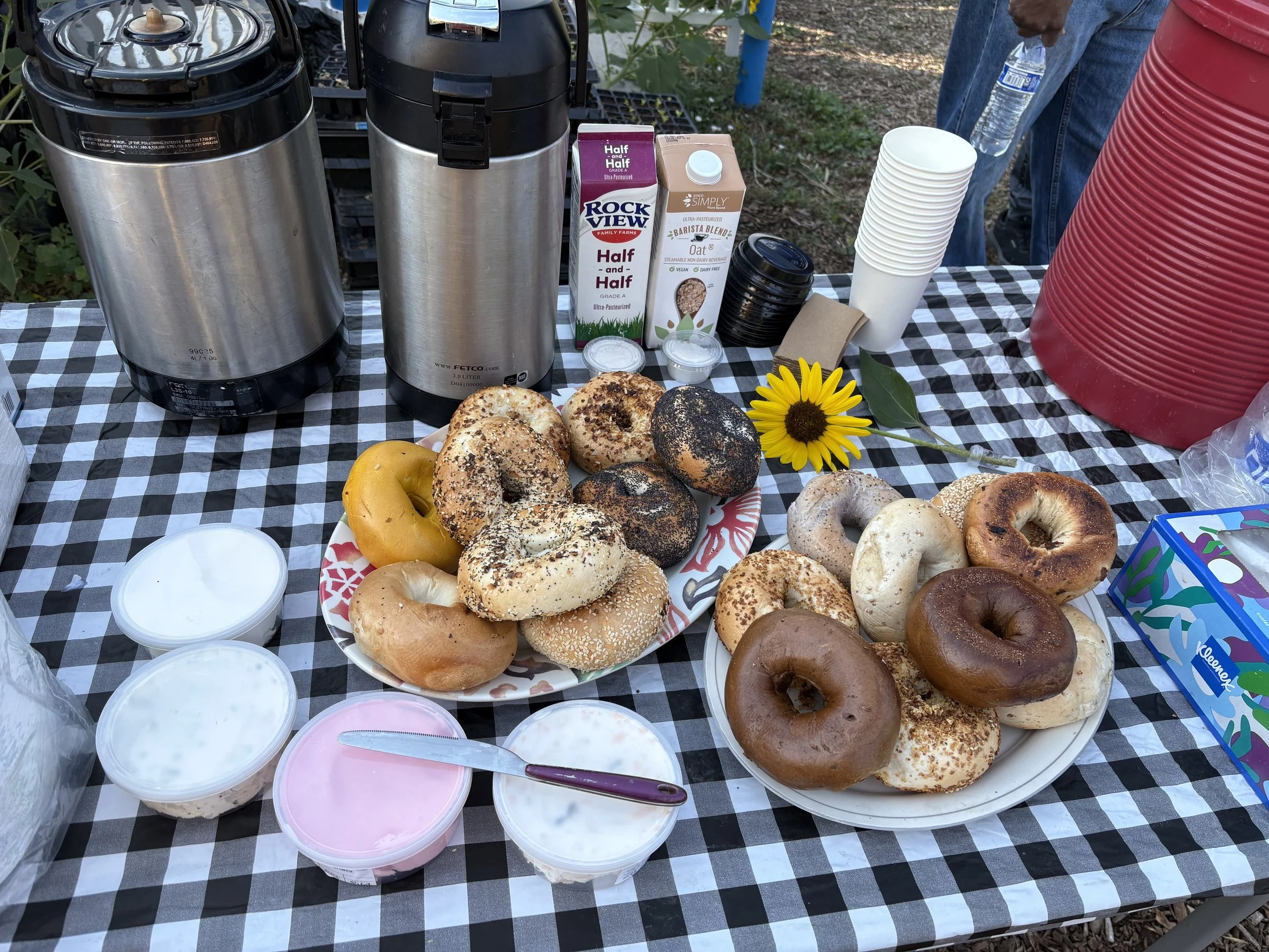 Days in the Dirt + Bagel Brunch 