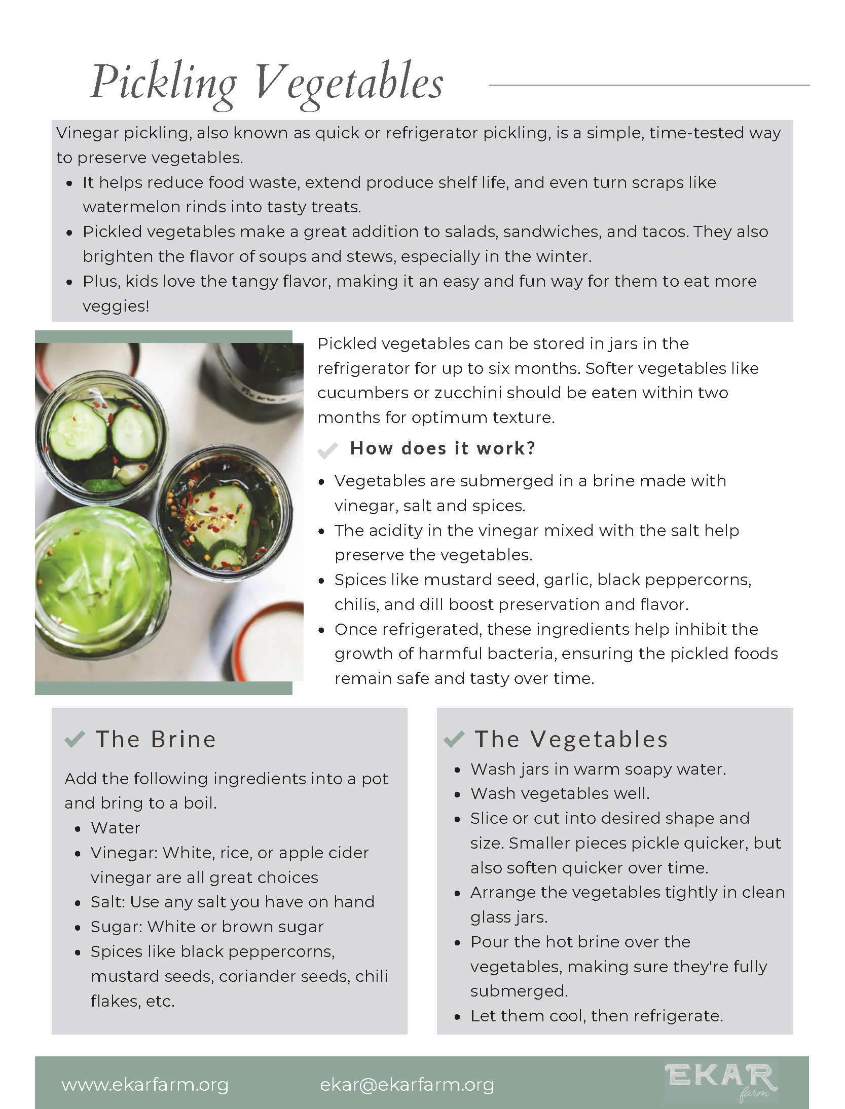 Pickling vegetables_2025.png
