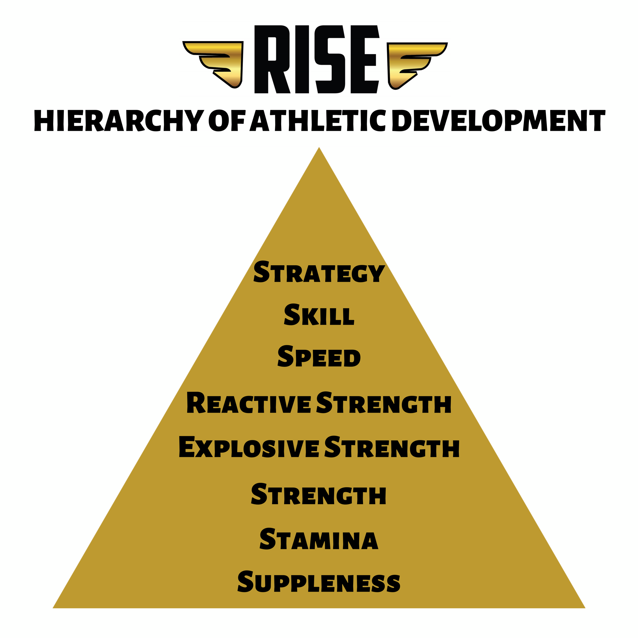 Hierarchy of Athletic Development: Part 2 — The RISE Lab