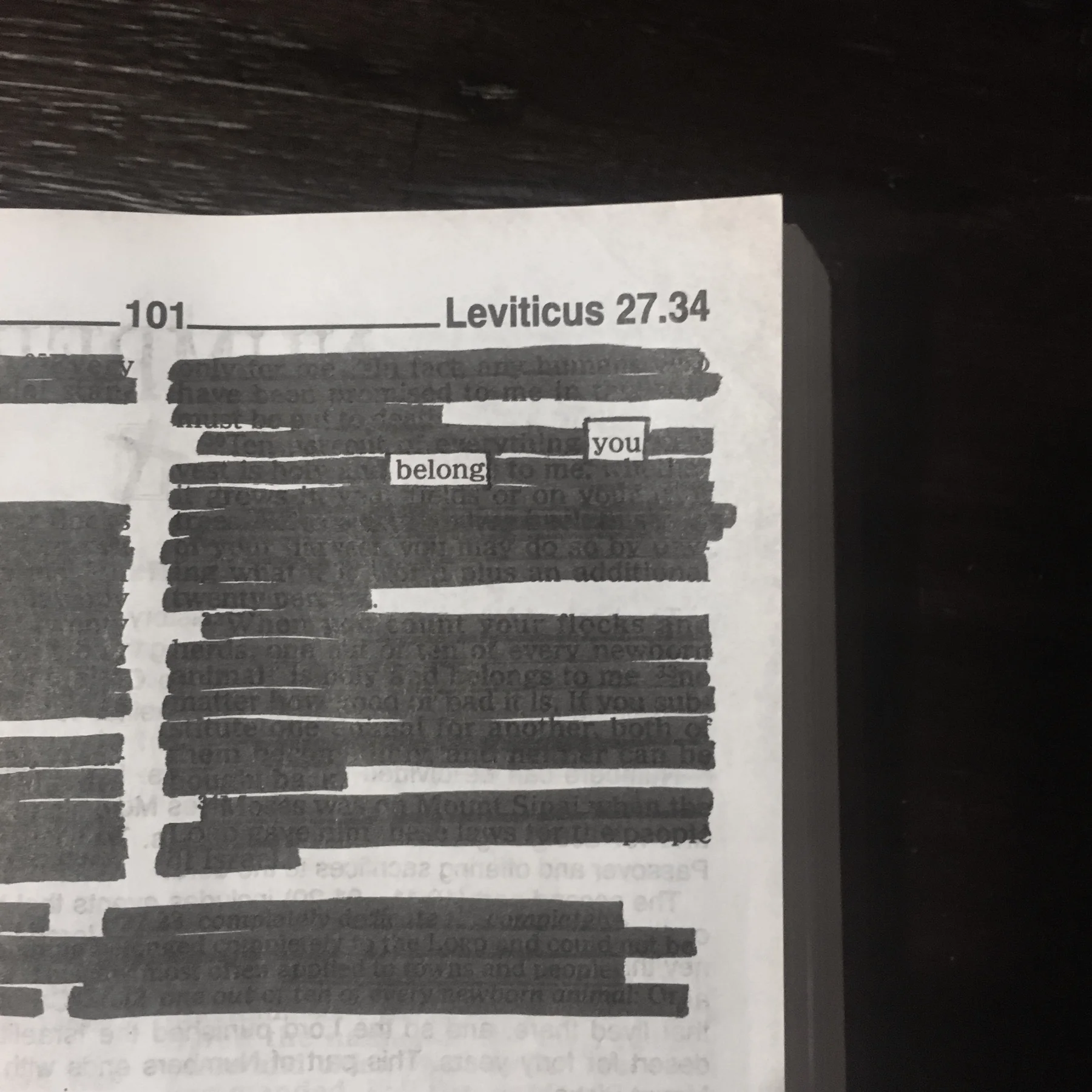 41847055.jpg