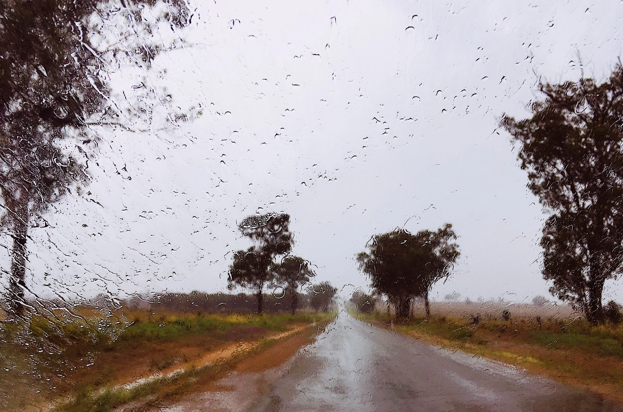 Storm Past Dingo