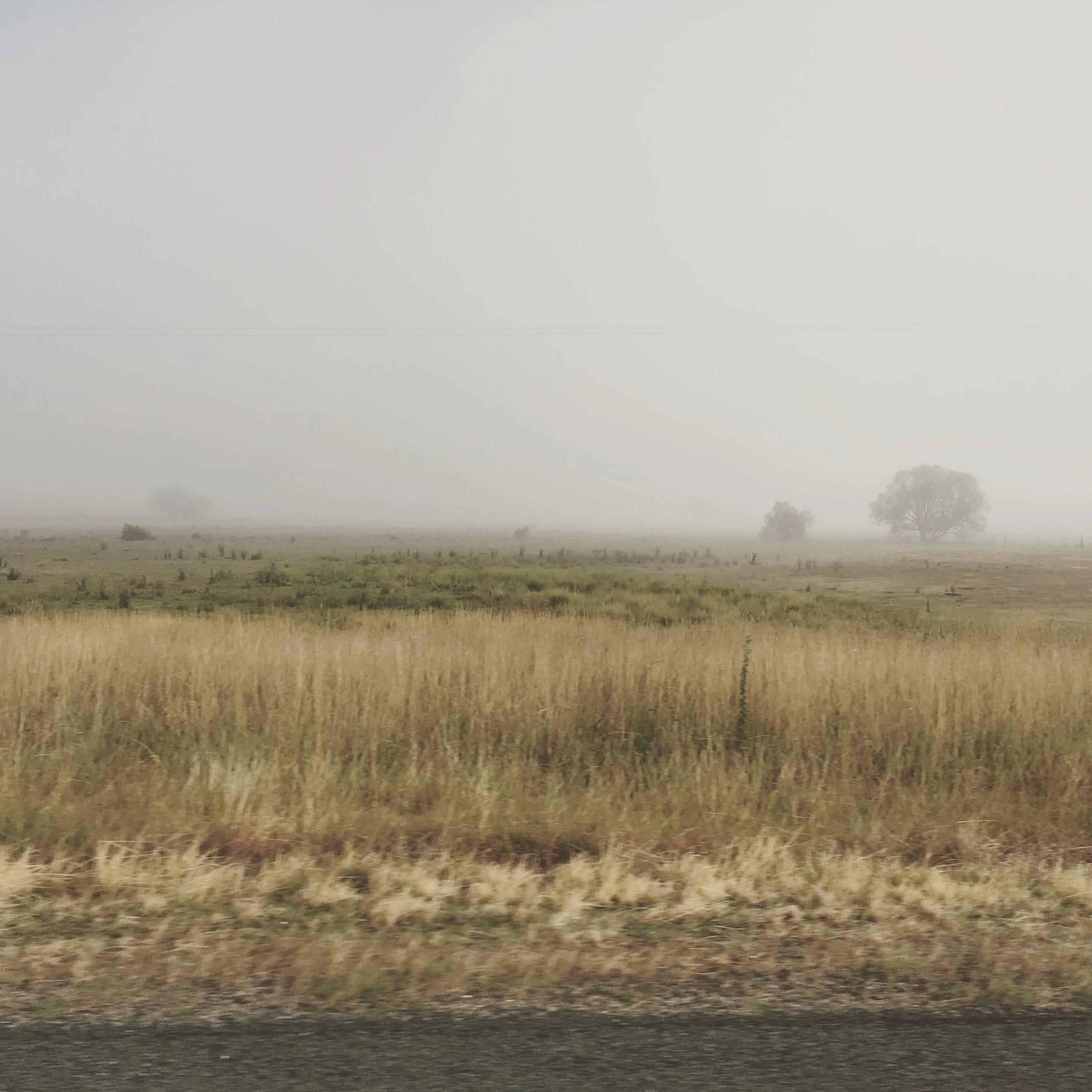 Soft Light II