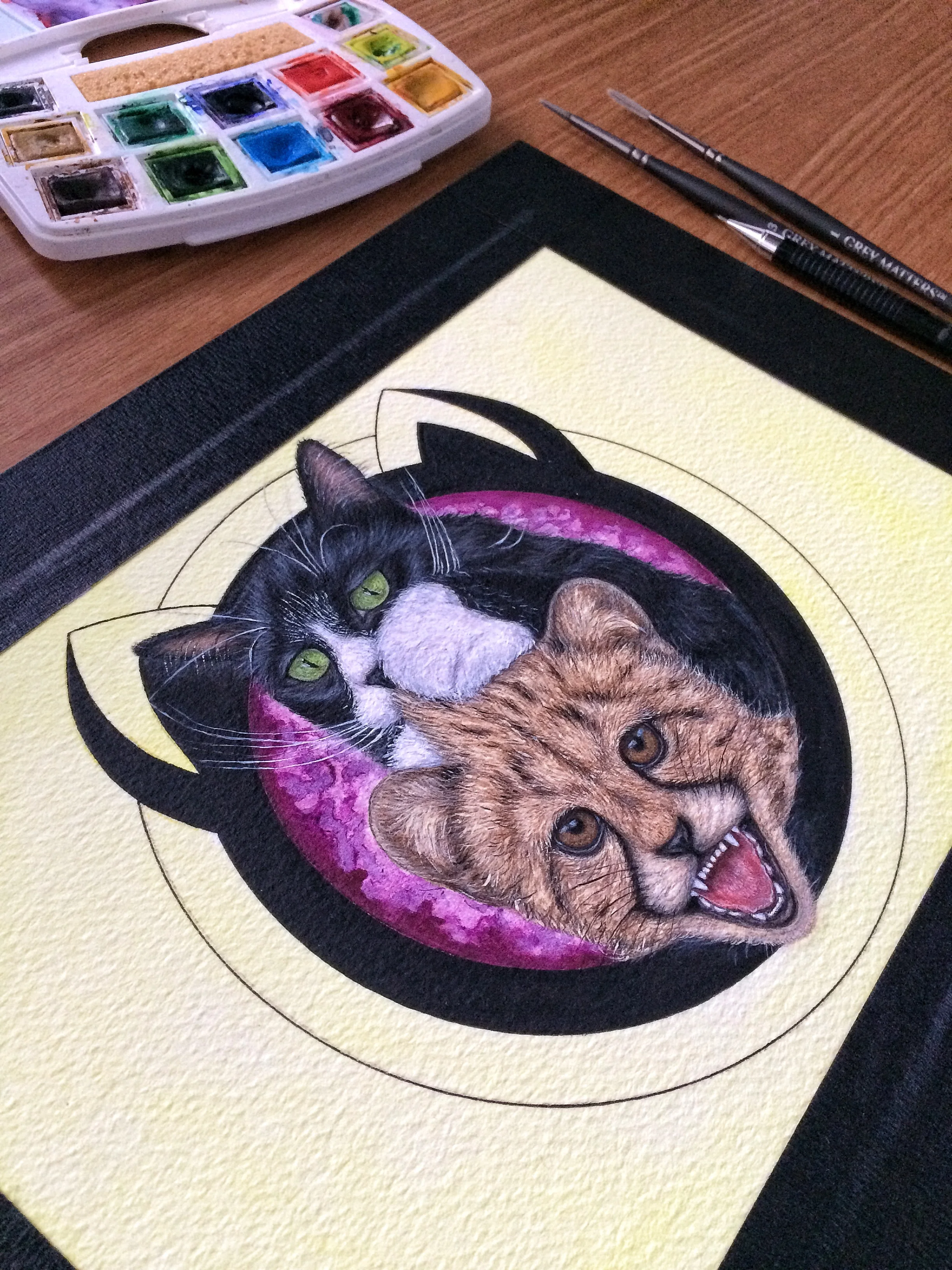 TORC the CAT NONA.jpg