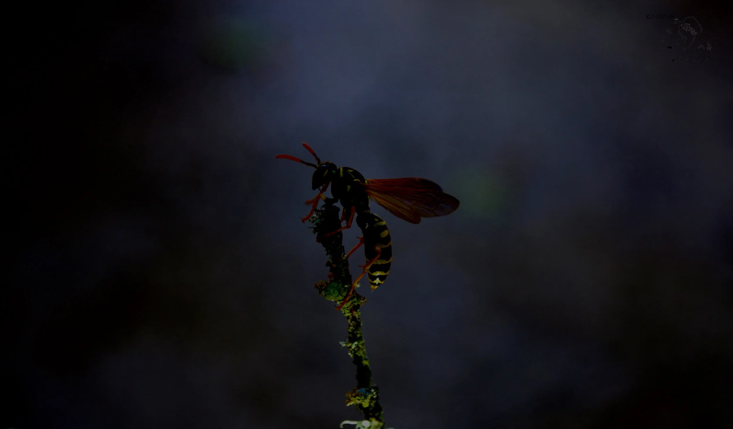 “Finding my way through the darkness“