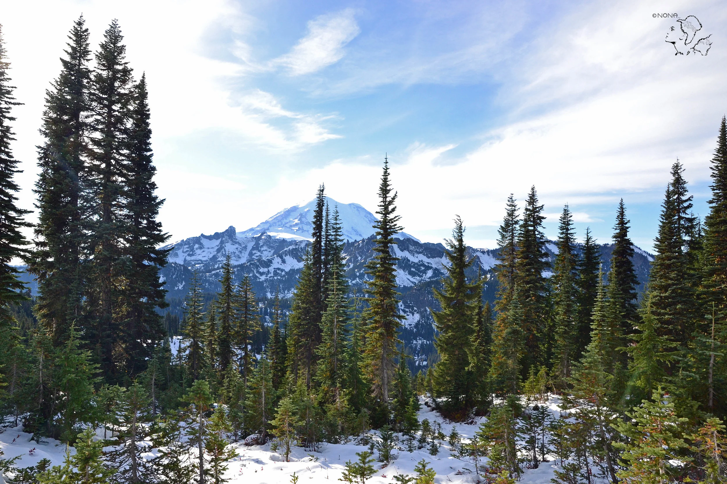 “Evergreens“