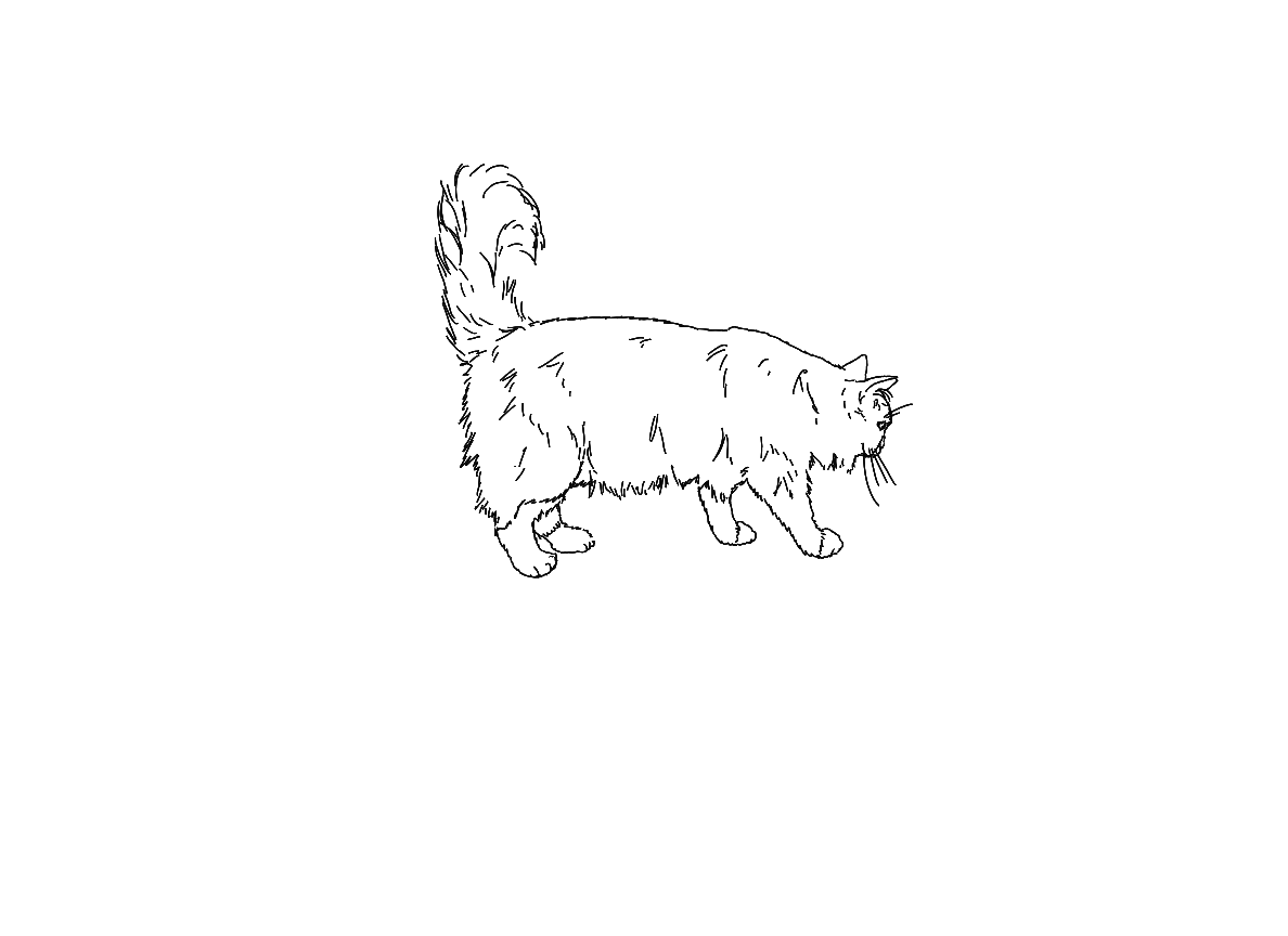 Torc2.png