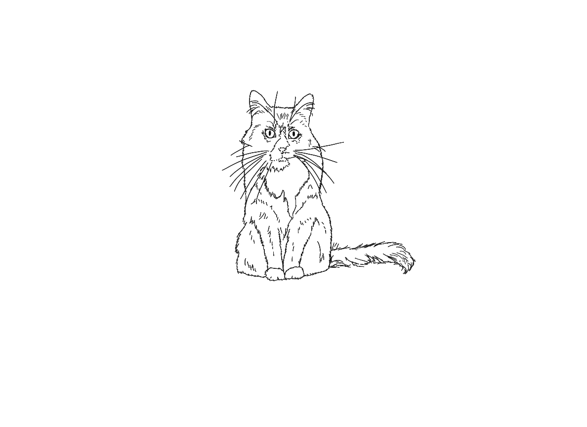 torc1.png