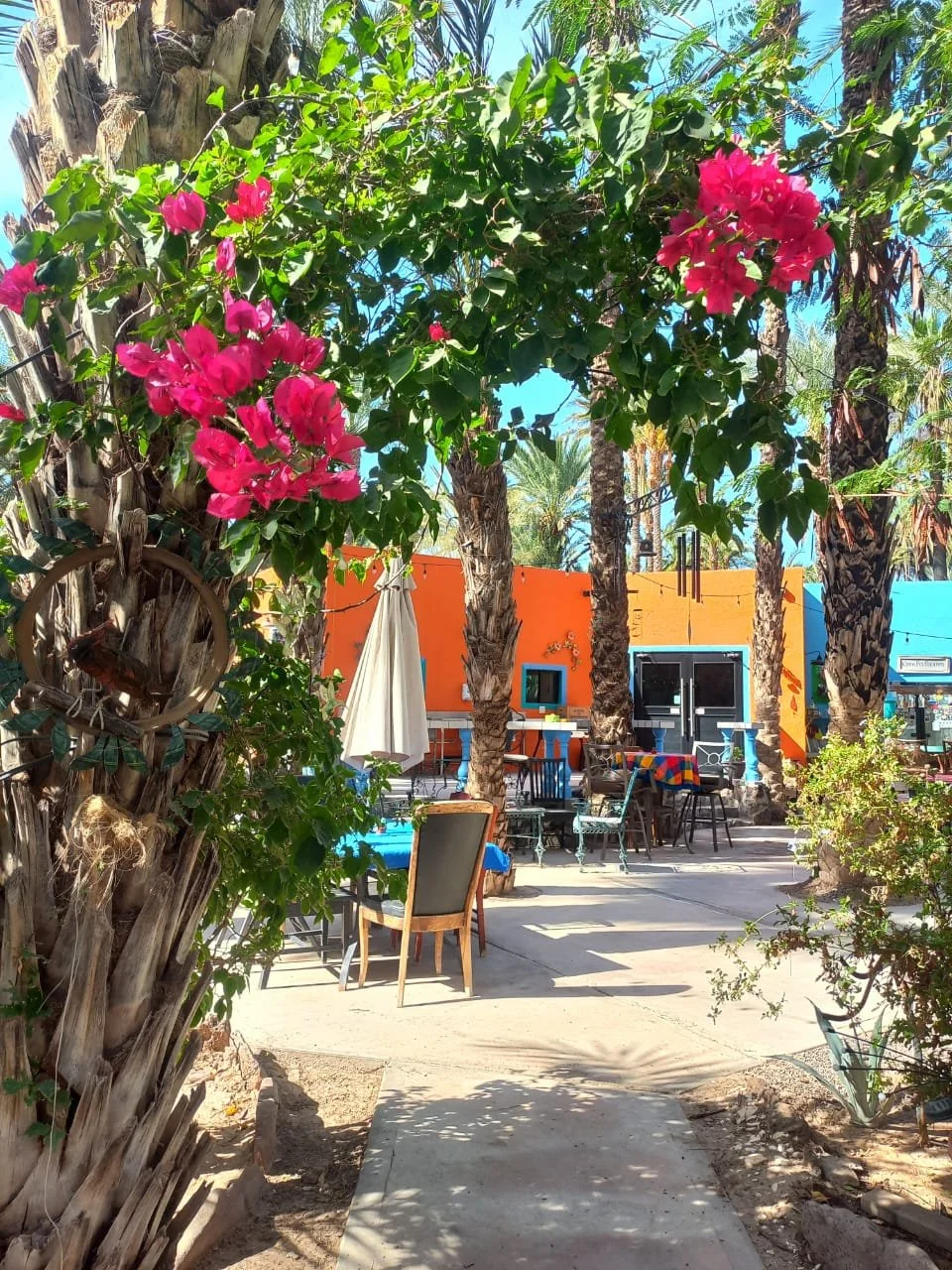 WhatsApp Image 2026-01-05 at 12.28.20 PM (2).jpeg