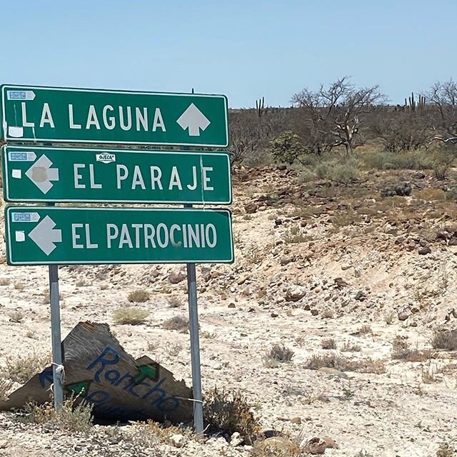 A trip to the mountains. What a beautiful drive. Spent the night in El Patrocinio. Fresh homemade tortillas, beans, chicken and goat.  Delicious.  Had a wonderful time with friends. Some local cowboys came to play some music. We had fresh ground coff