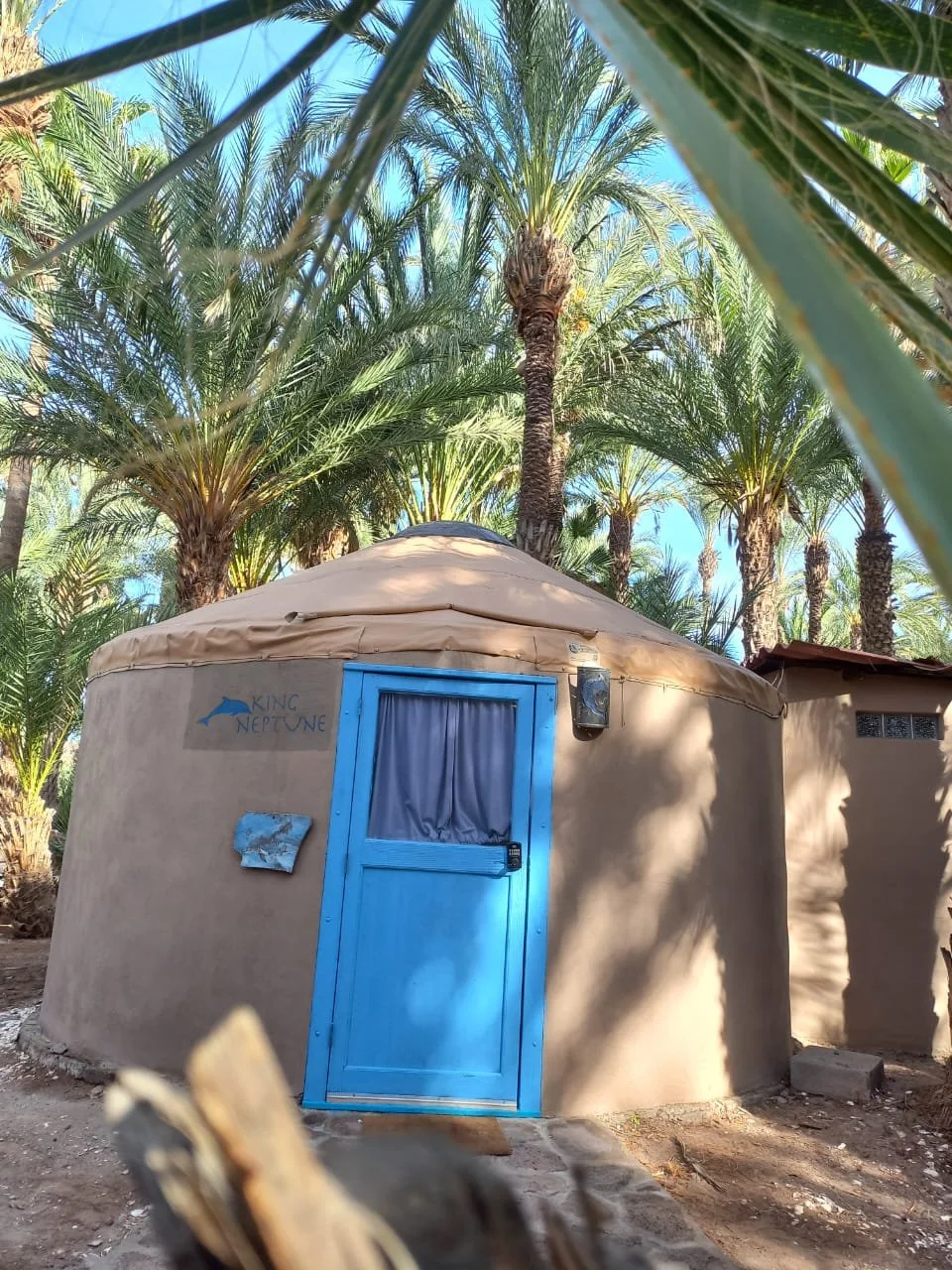 WhatsApp Image 2026-01-05 at 12.02.26 PM.jpeg