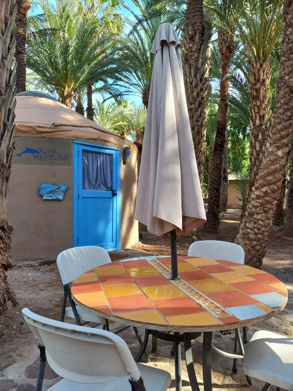 WhatsApp Image 2026-01-05 at 12.02.26 PM (1).jpeg