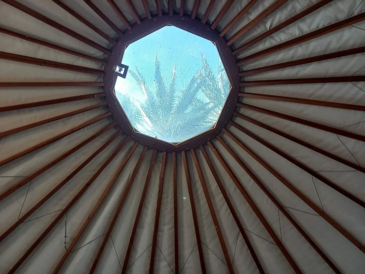 WhatsApp Image 2026-01-05 at 12.02.47 PM (2).jpeg