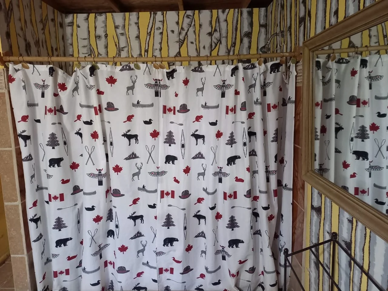 WhatsApp Image 2026-01-05 at 12.02.48 PM.jpeg