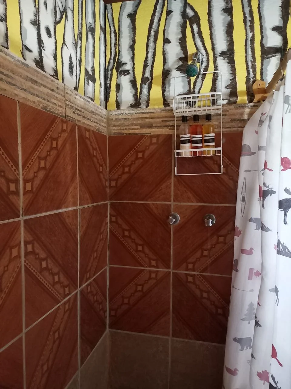 WhatsApp Image 2026-01-05 at 12.02.49 PM.jpeg