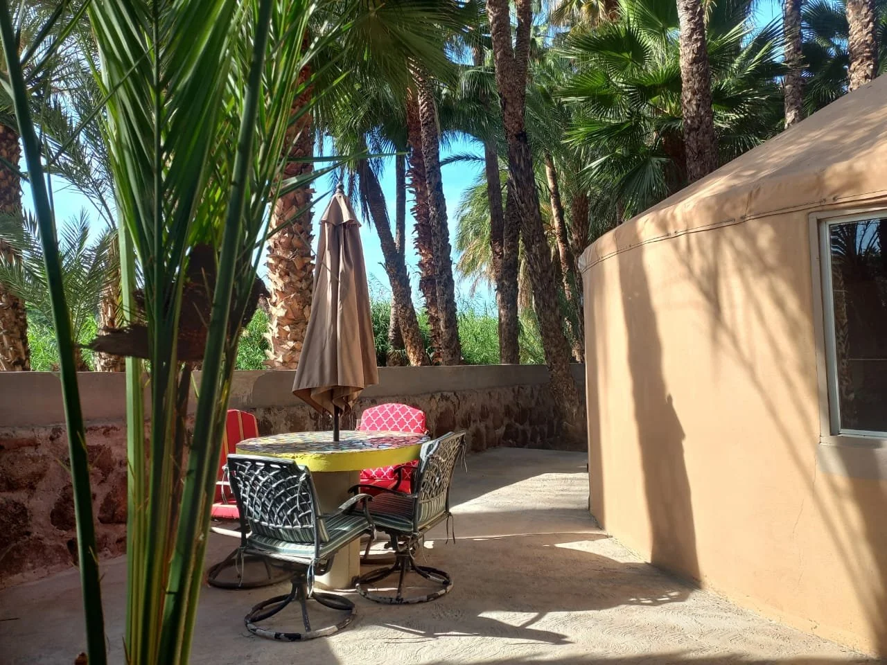 WhatsApp Image 2026-01-05 at 12.03.10 PM.jpeg