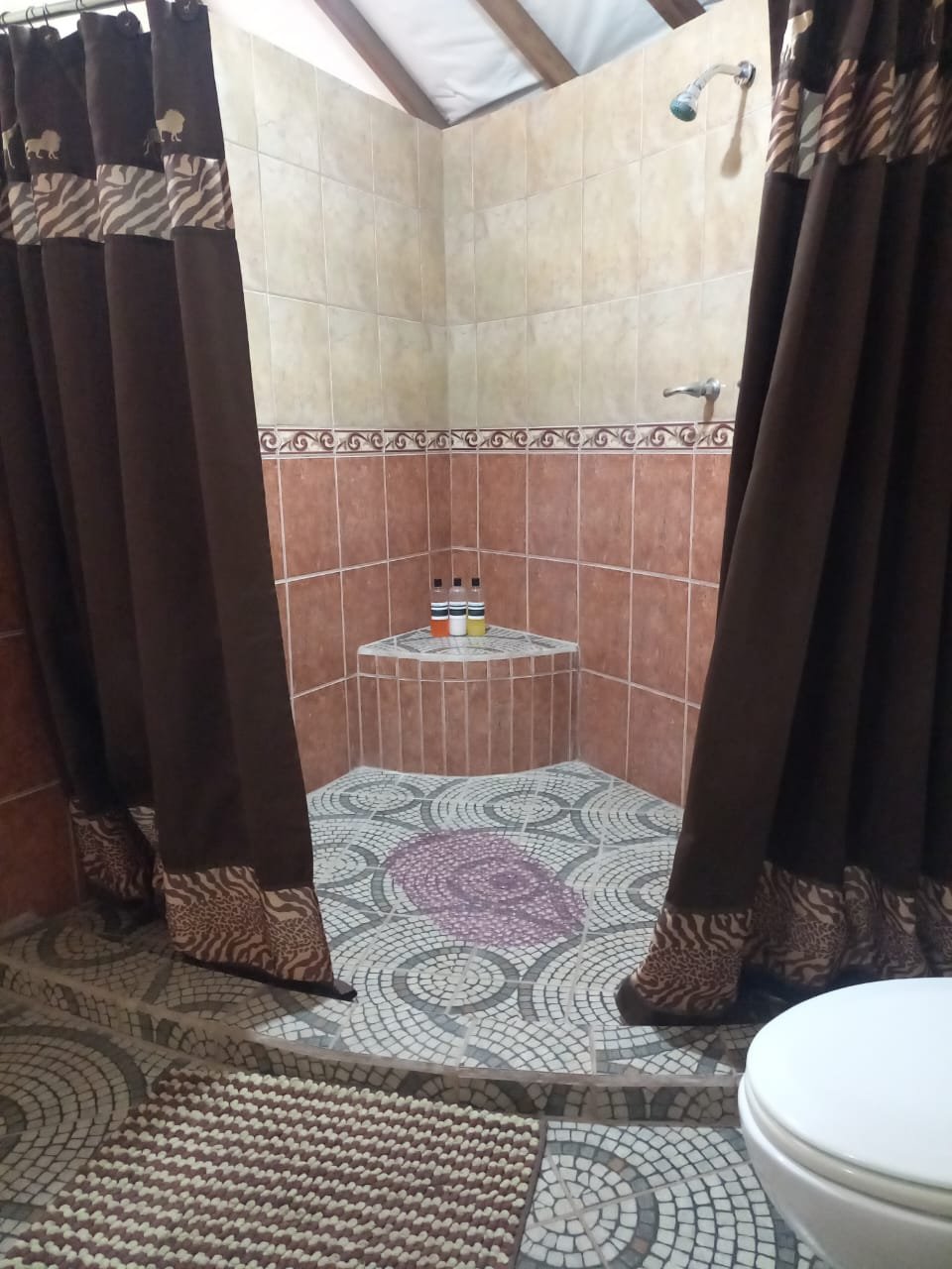 WhatsApp Image 2026-01-05 at 12.03.15 PM.jpeg