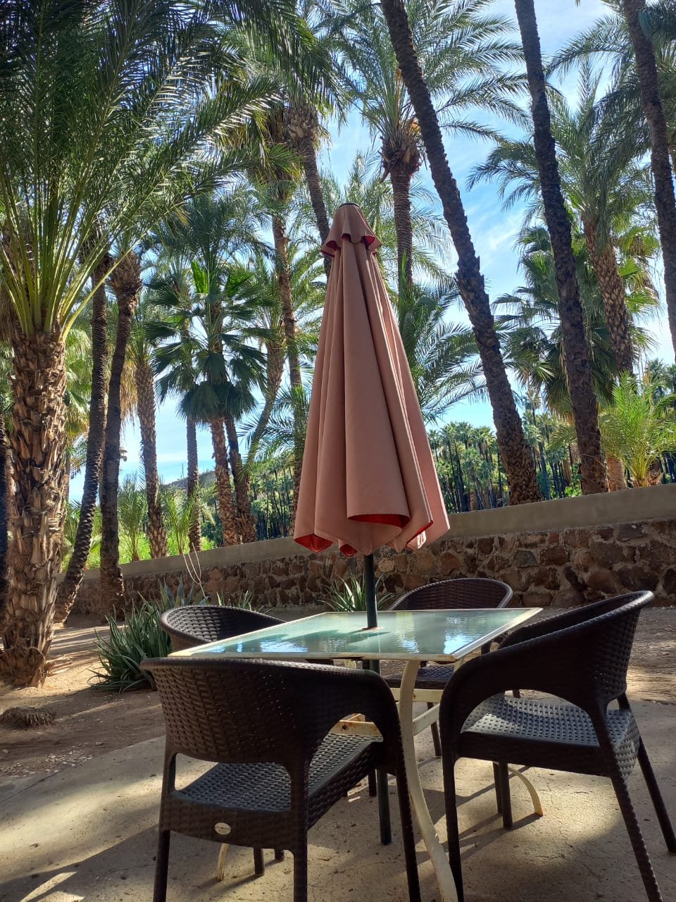 WhatsApp Image 2026-01-05 at 1.33.46 PM (2).jpeg