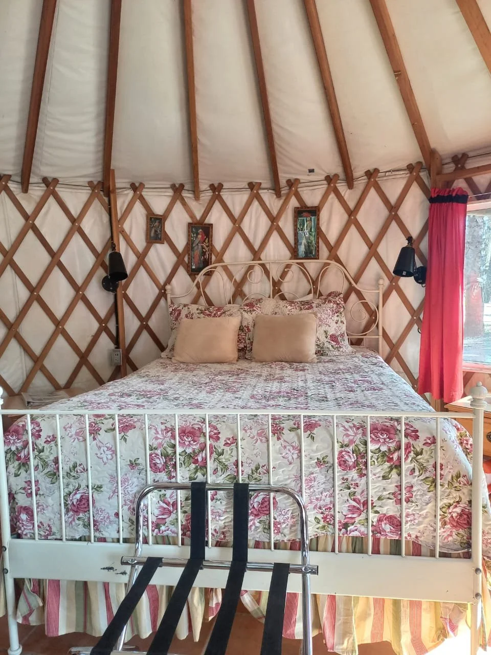 WhatsApp Image 2026-01-05 at 1.33.47 PM.jpeg