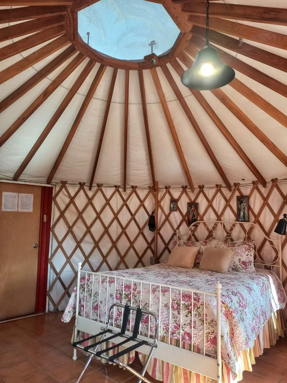 WhatsApp Image 2026-01-05 at 1.33.48 PM (3).jpeg