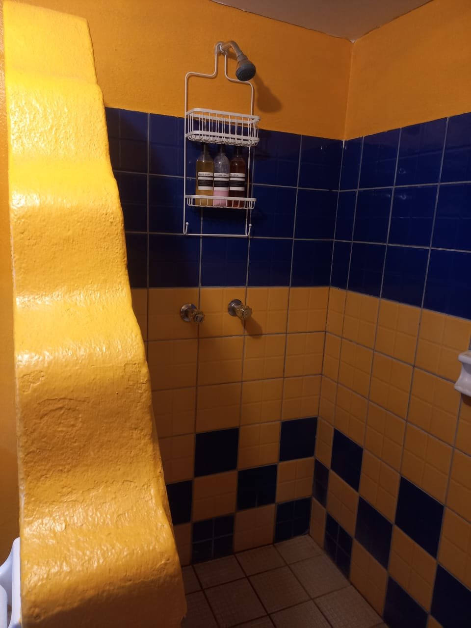 WhatsApp Image 2026-01-05 at 1.35.45 PM (1).jpeg