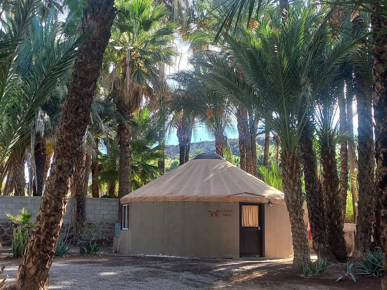 WhatsApp Image 2026-01-05 at 12.03.37 PM (1).jpeg