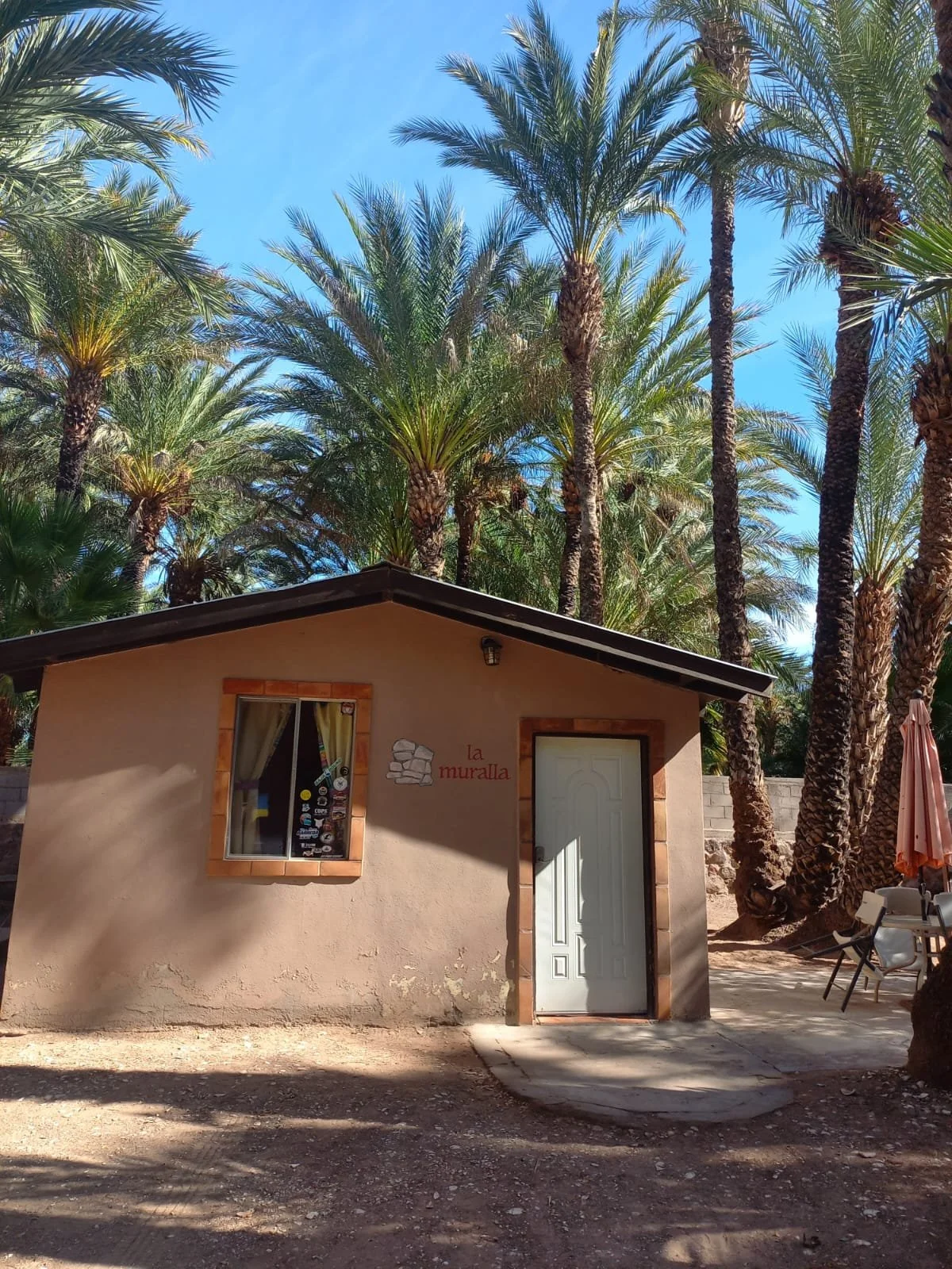 WhatsApp Image 2026-01-06 at 6.53.34 AM.jpeg