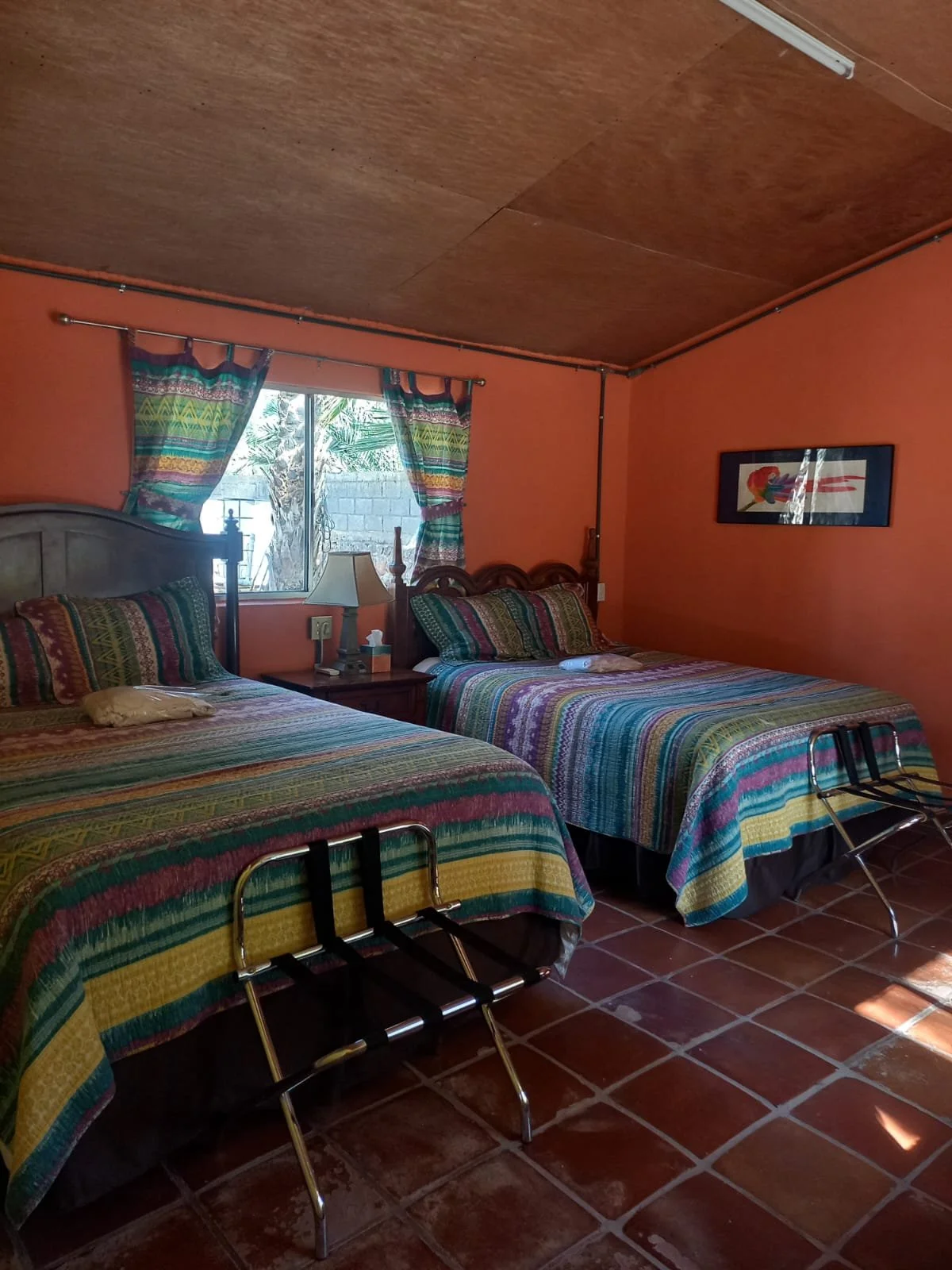 WhatsApp Image 2026-01-06 at 6.53.35 AM (1).jpeg