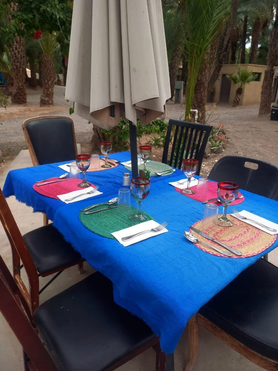 WhatsApp Image 2026-01-06 at 12.53.34 PM (1).jpeg