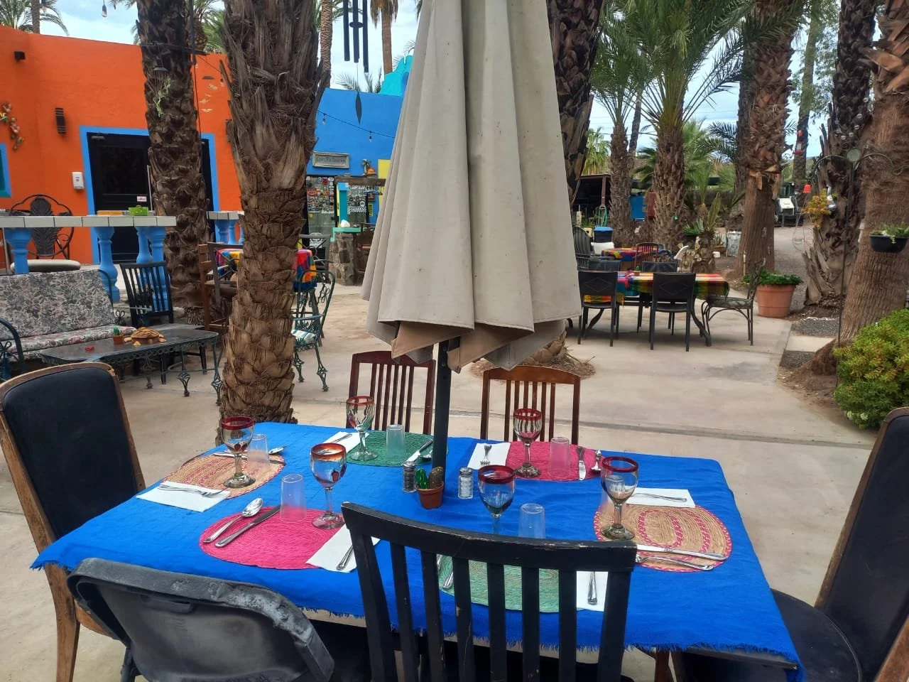 WhatsApp Image 2026-01-06 at 12.53.34 PM (2).jpeg