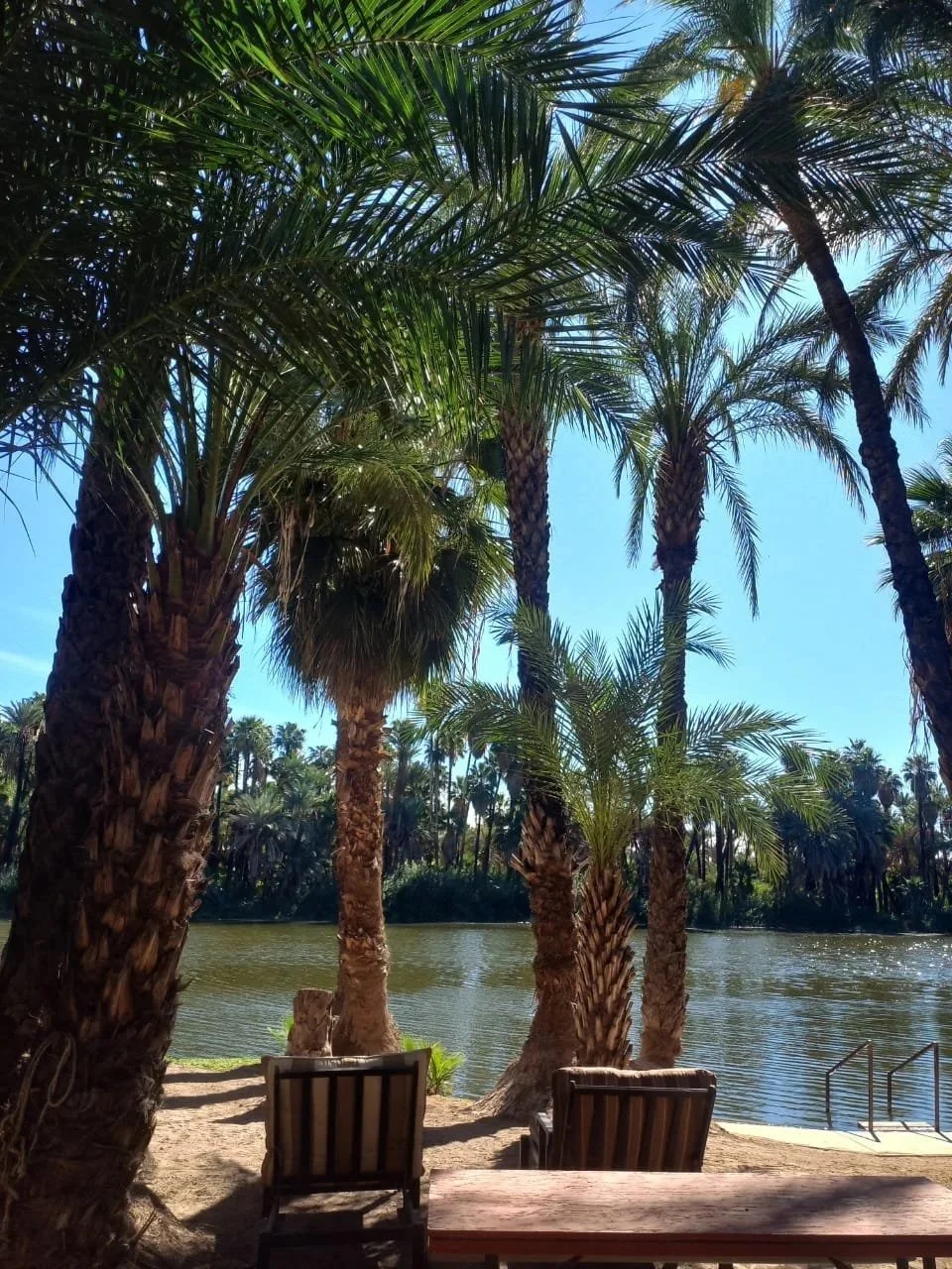 WhatsApp Image 2026-01-05 at 1.58.44 PM.jpg