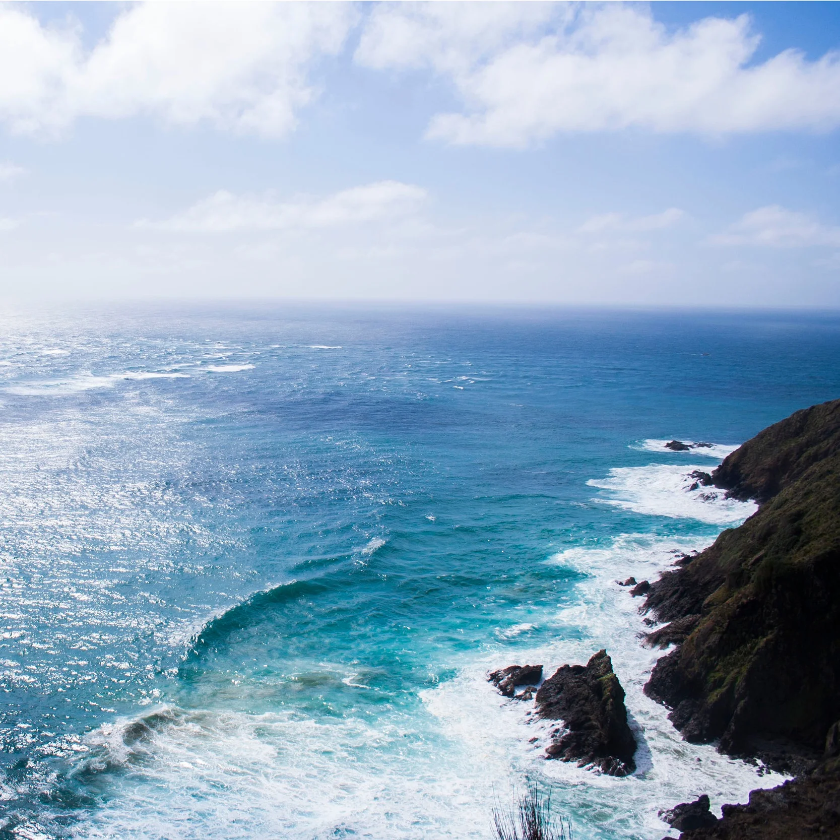 What is Exergy, and How Did It End up in Our Name?