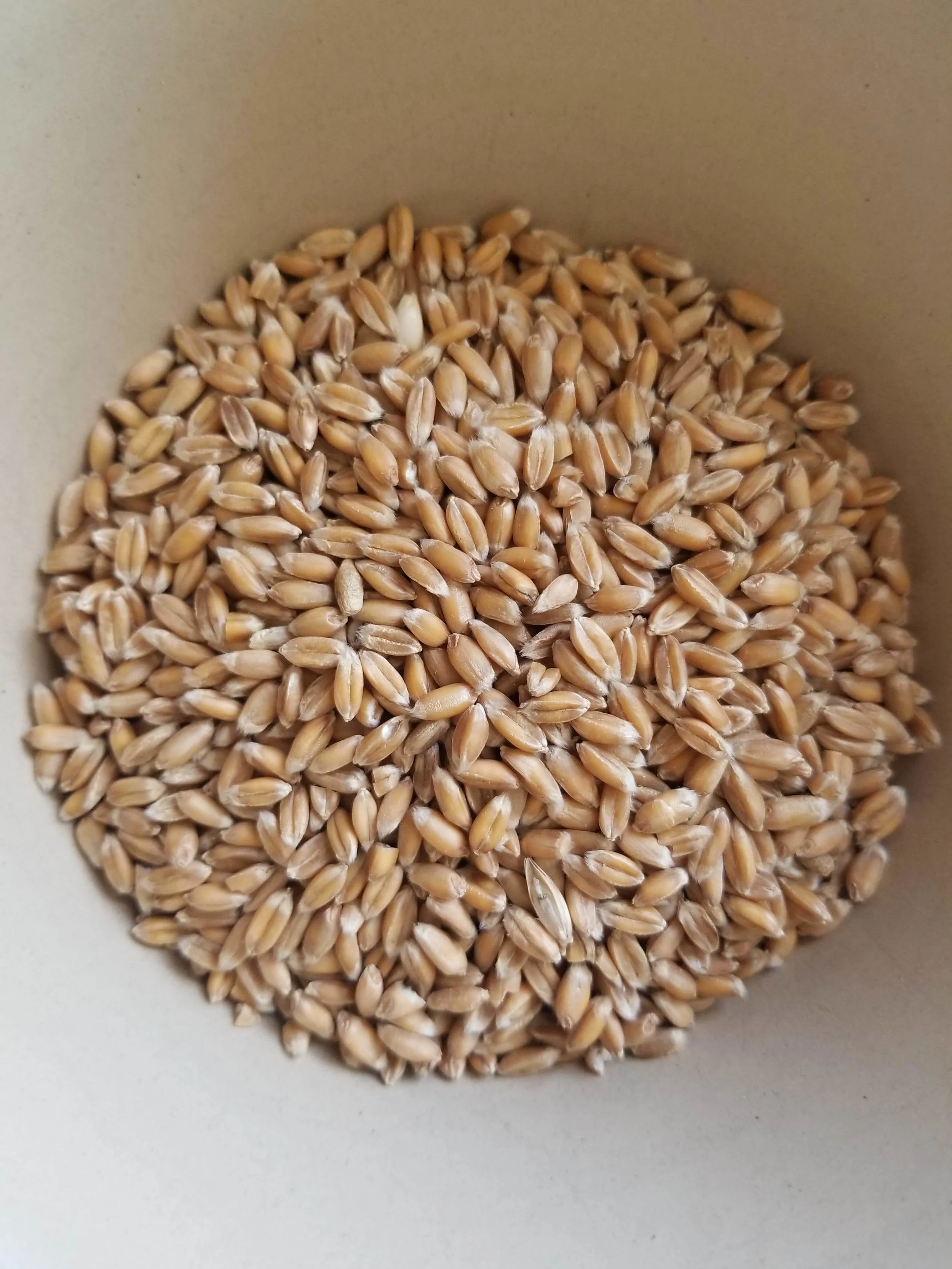 Our Products — MEADOWLARK ORGANICS