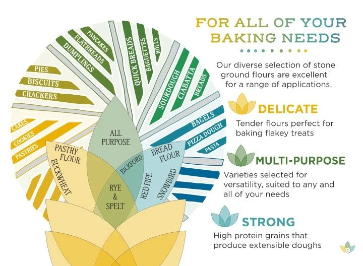 MO_GG_2026.Draft3 9.jpg