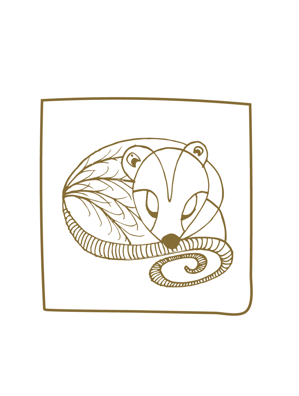 Organic White Dent Corn