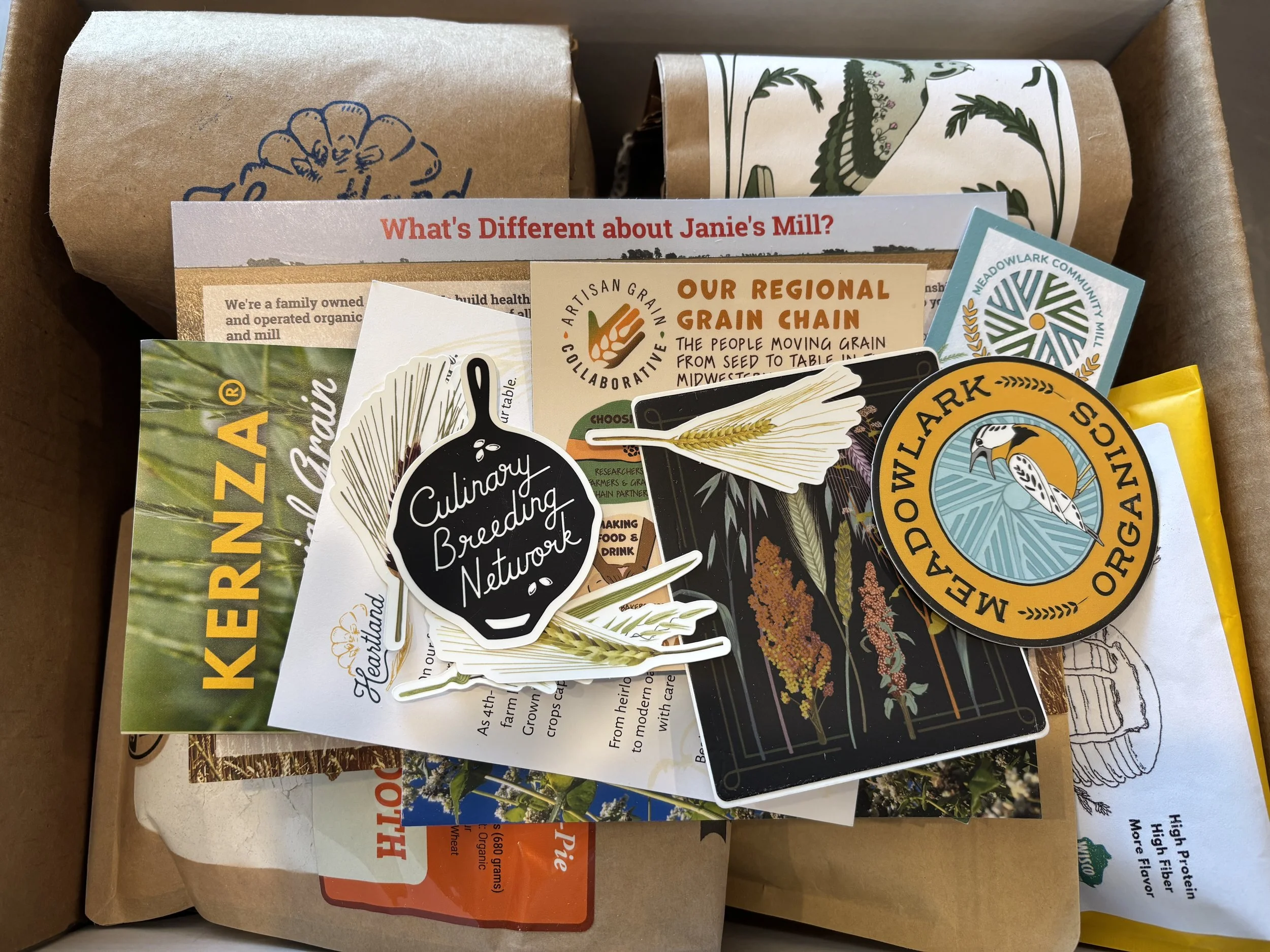 Grain Exploration Box