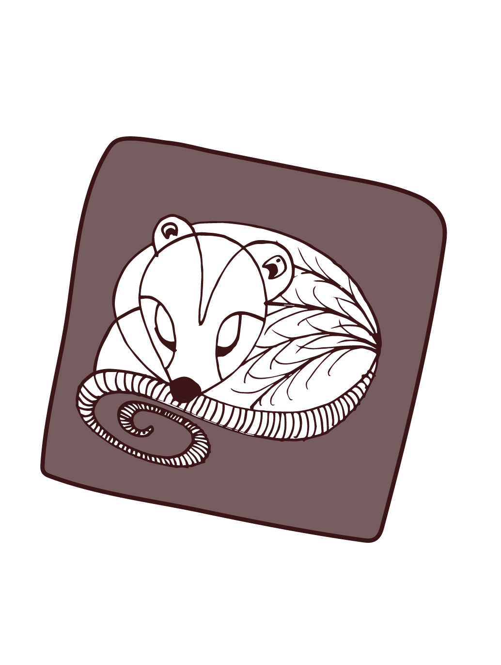 Dakota Black Popcorn