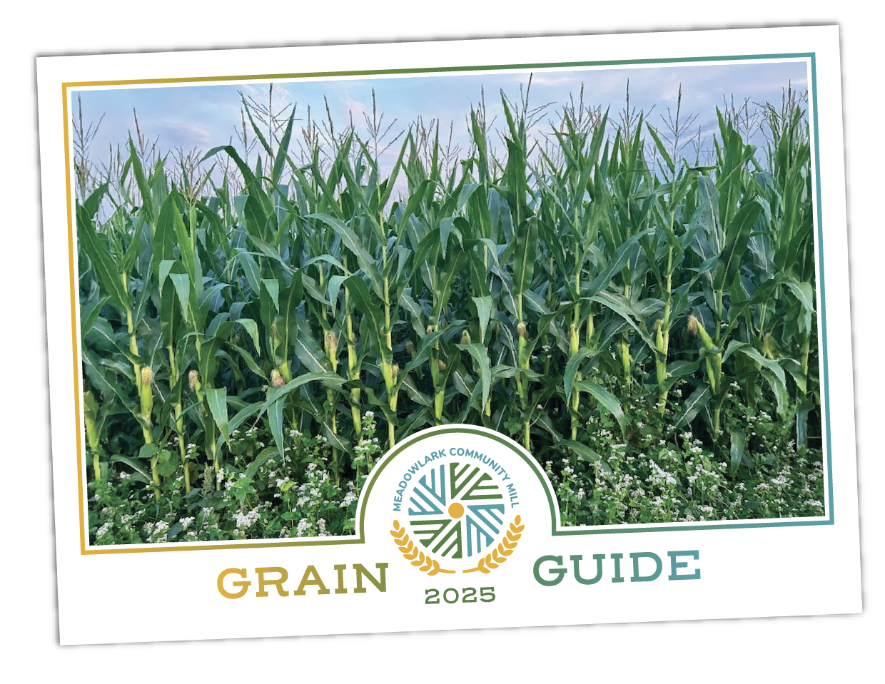 Cover of a grain guide for 2025 featuring a field of tall green corn plants and the Meadowlark Farm & Mill logo.