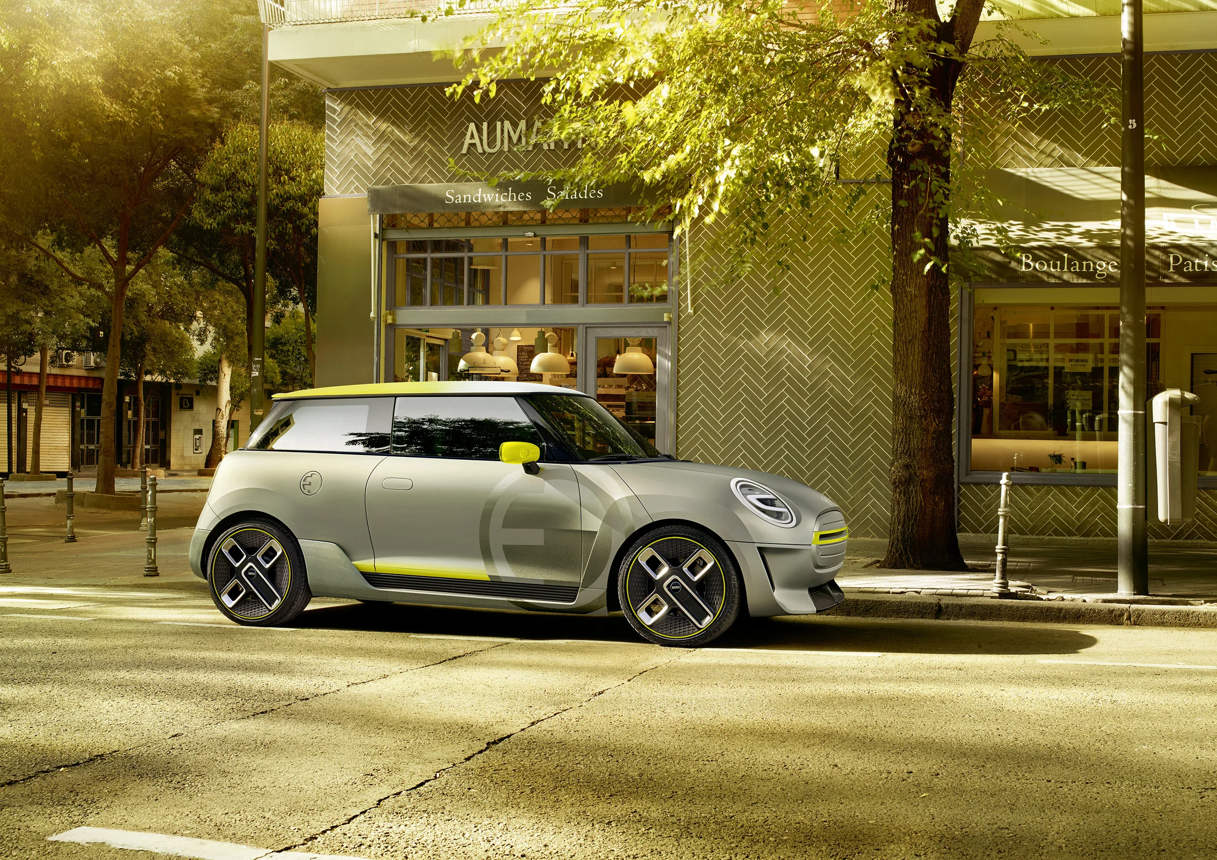 100_BMW - MINI (concept) (2019)_P90274830.jpg