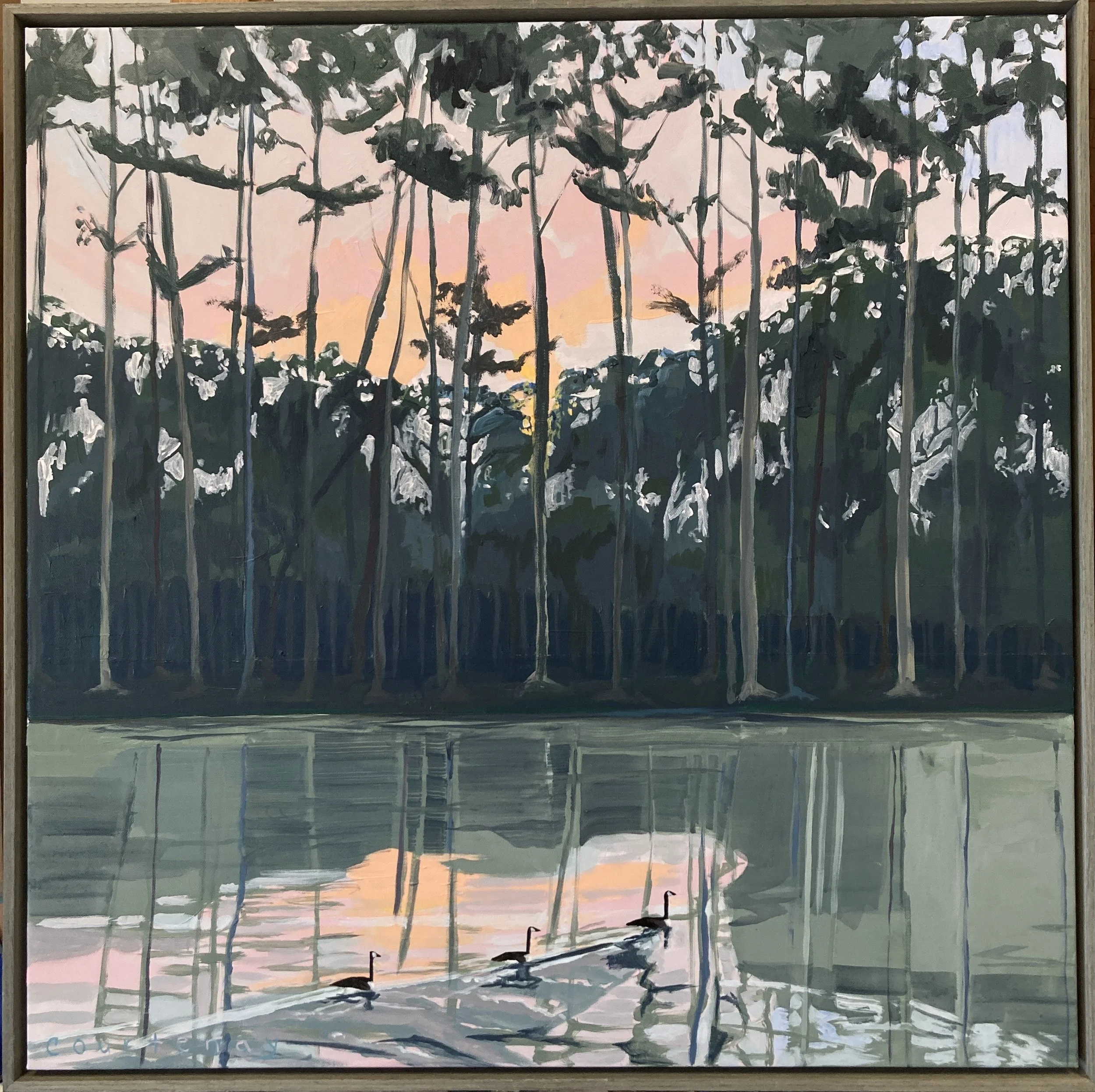 Sunset Through the Pines