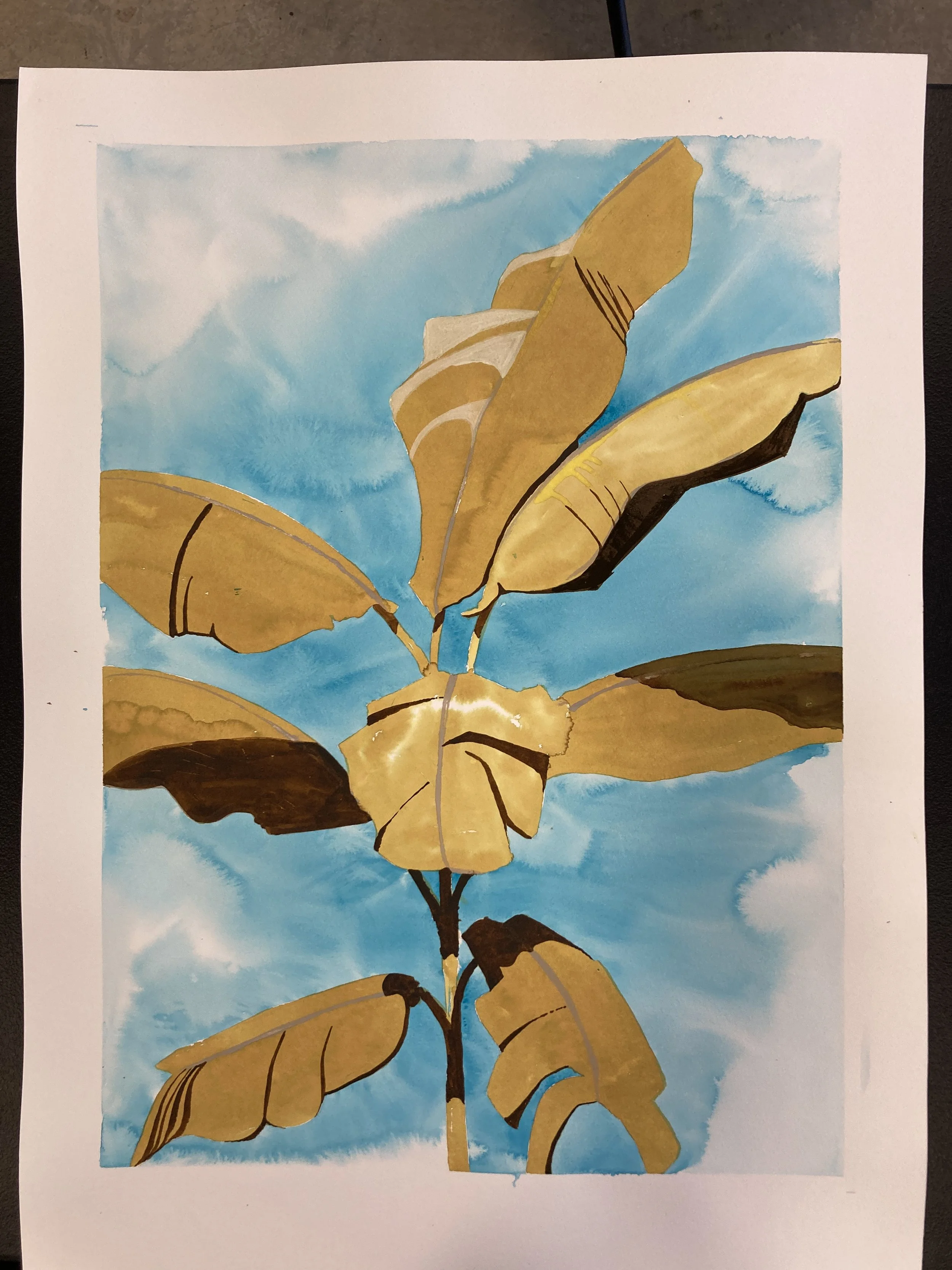 Modern Banana Tree II