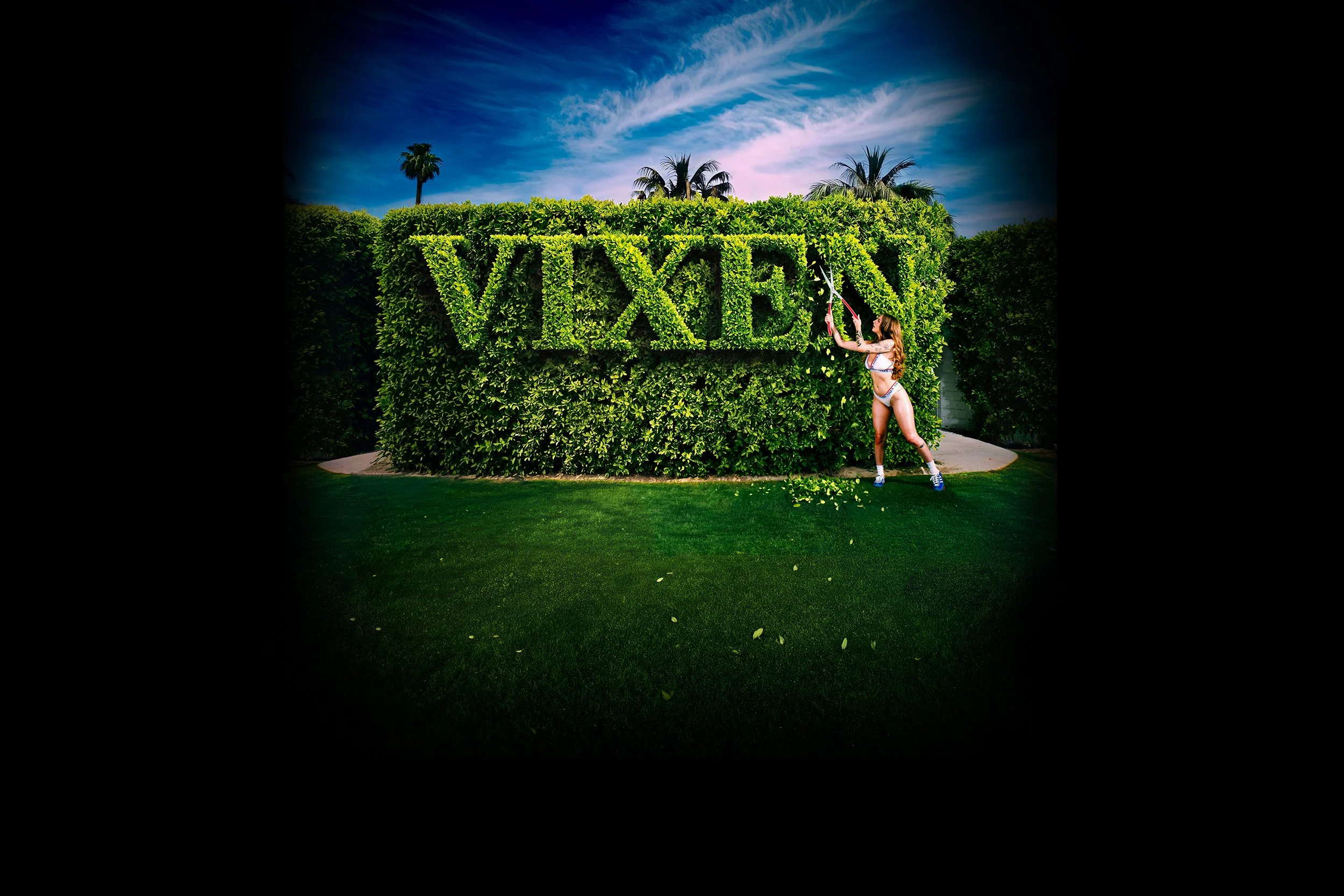 VIXEN GROUP BANNER_025b.jpg