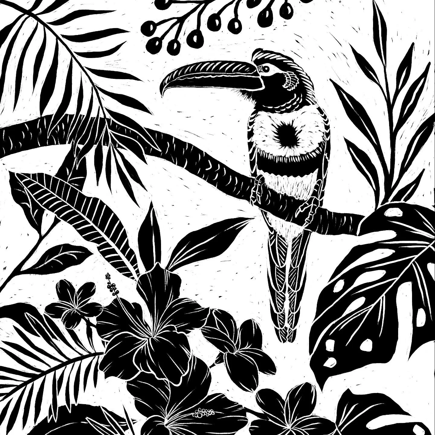 Costa Rica is calling. I'm making my list of all the birds I hope to see. Here's a little digi linocut design to get in the mood for new adventures in 2026. I may have to get my paints out and do this one in color too. 

What's on your agenda for 202