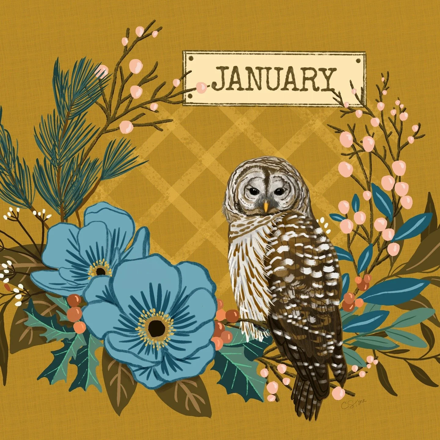 Happy 2026 to all! Let's make it a good year!❤️