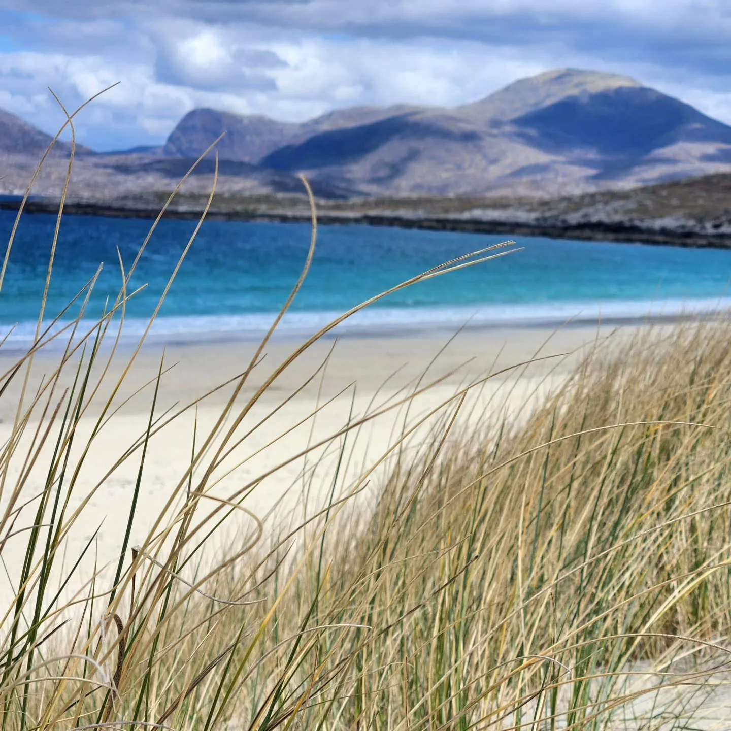 All my favorite blues! A little island in the sun...in Scotland!