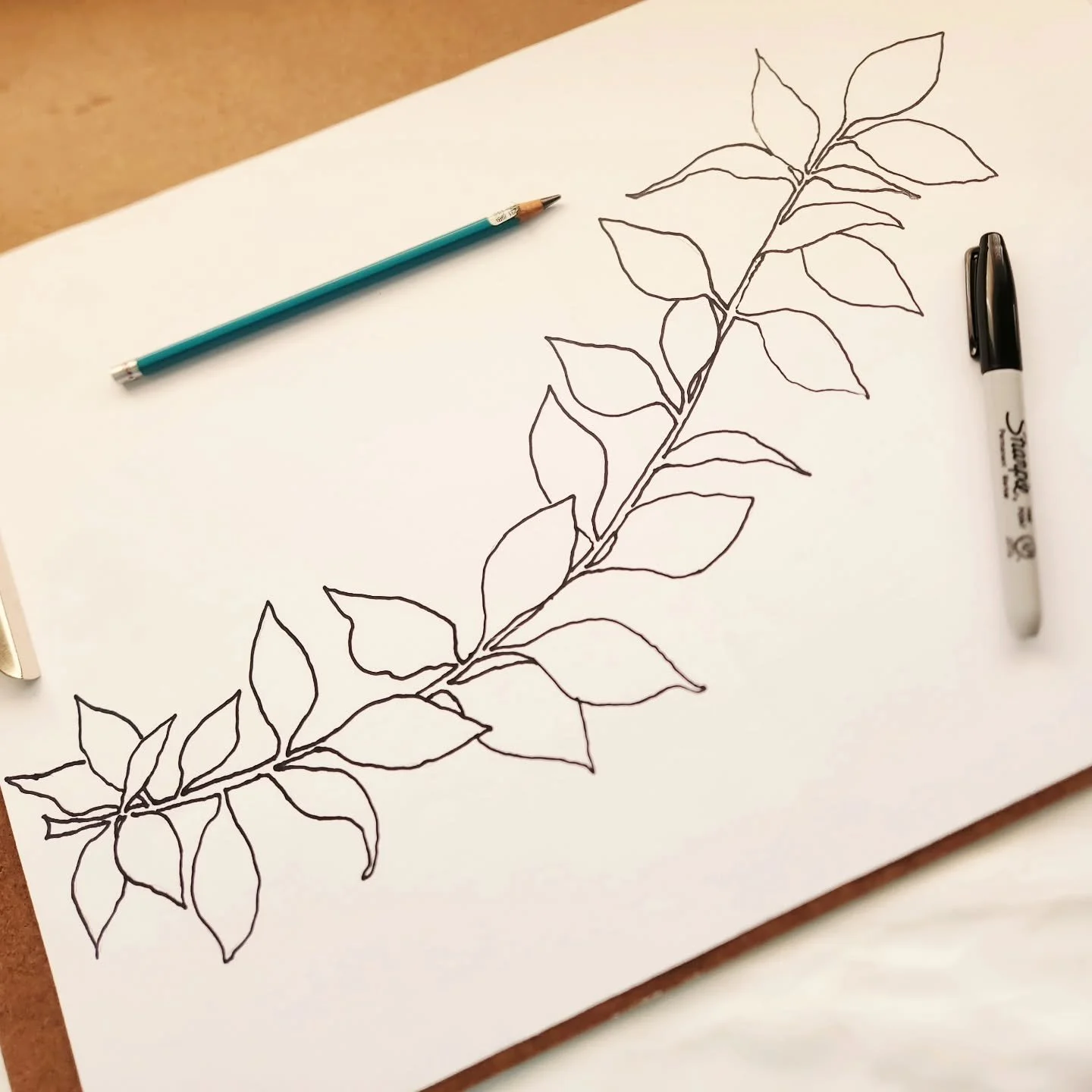 You know you are obsessed with plants when you jump off the treadmill mid- workout to draw a holly branch you can see from your window. So many possibilities! 😂